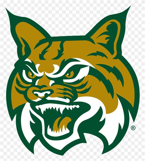 Msu Bobcats Logo - Msu Logo PNG - FlyClipart