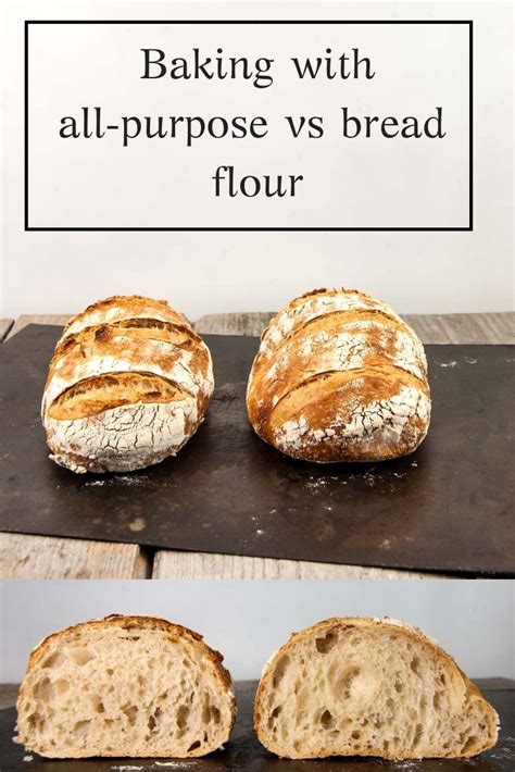 Bread Flour Vs All Purpose For Dinner Rolls At Jessie Mcclellan Blog