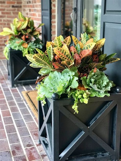 Fall Container Garden Ideas Our Favorite Plants Adorn Fall