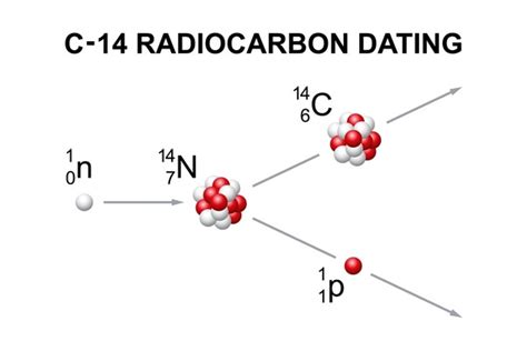 125 Carbon Dating Royalty Free Photos And Stock Images Shutterstock