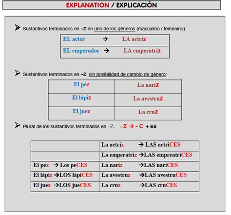 Nouns Ending in Z Explanation - Happy Hour Spanish