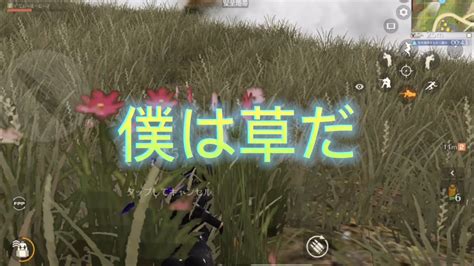 【荒野行動】バレたら終了の草ゲーでプチキャリーなるか⁉︎【デュオゲリラ解説】 Youtube