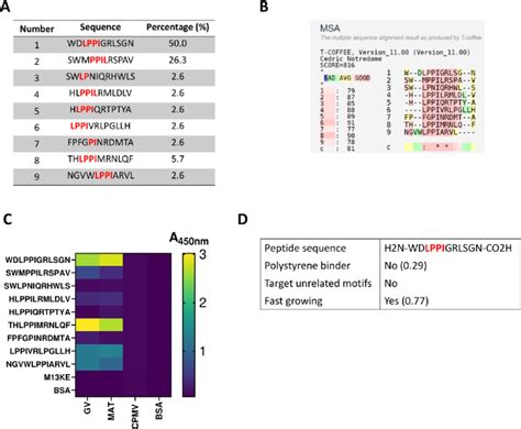 Analysis Of The Monoclonal Phages That Bind GV A Sequences Of