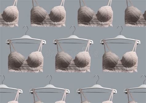Lace Bras On A Hanger Underwear Stylish Lingerie Stock Photo Image