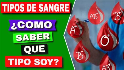 Descubre Tu Tipo De Sangre Con Tu Dni Gu A Completa Para Saber C Mo