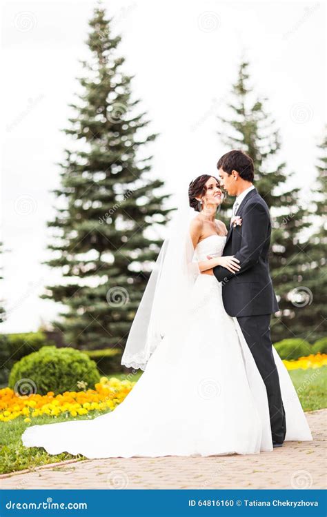 Novia Y Novio Felices En Su Boda Foto De Archivo Imagen De Valentina