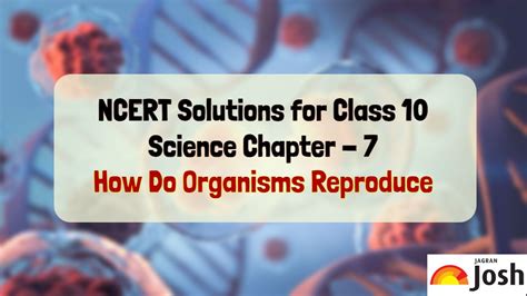 Ncert Solutions For Class 10 How Do Organisms Reproduce Pdf