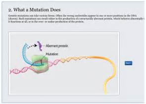 Bandp 104 Epigenetics Explained Institute Of Canine Biology