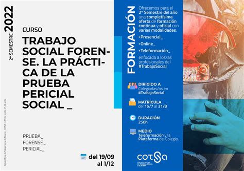 Curso Trabajo Social Forense La Practica De La Prueba Pericial Social