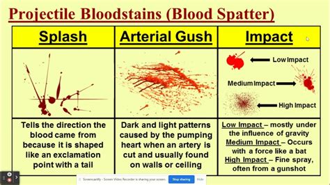 Blood Spatter Youtube