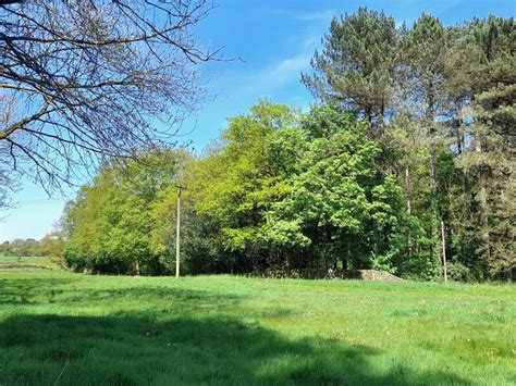 Balk Wood Ian Calderwood Cc By Sa Geograph Britain And Ireland