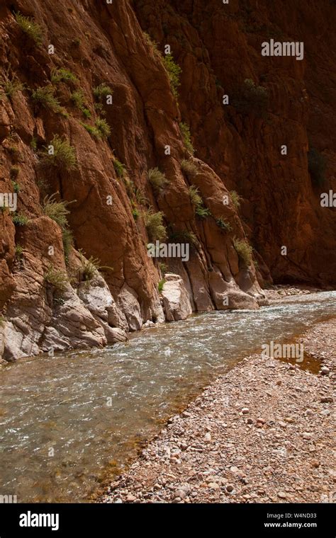 Gargantas Del Todra Alto Atlas Marruecos Africa Stock Photo Alamy