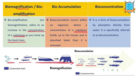 Biomagnification And Bioaccumulation