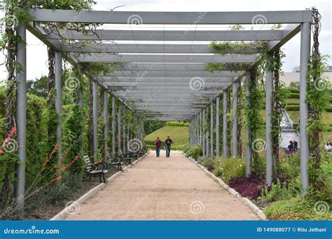 Jardines Del Centenario Mcgovern En Hermann Park En Houston Texas