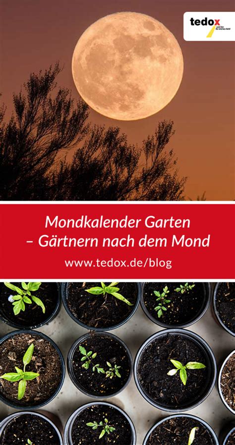 Mondkalender Garten G Rtnern Nach Dem Mond Artofit