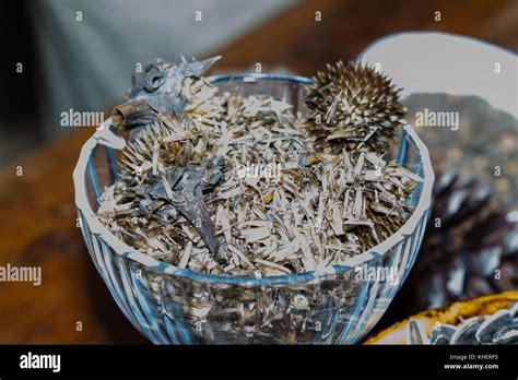 Mexican sunflower seeds Stock Photo - Alamy