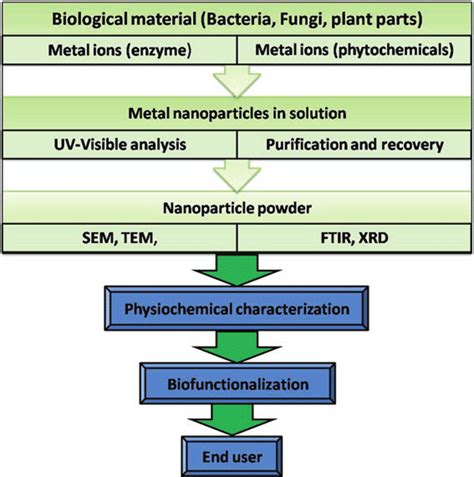 3 Flowchart Of Biological Synthesis Of Nanoparticles Download