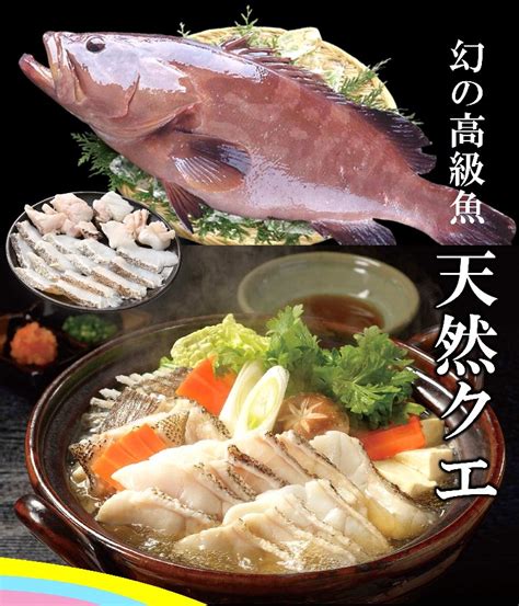 グリーンコープ 産直市場 幻の高級魚 長崎県五島列島 天然クエ鍋