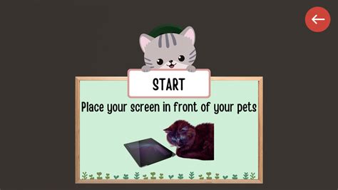 🕹️ Play Cat Fishing Game: Free Online Virtual Aquarium Video Game for Cats