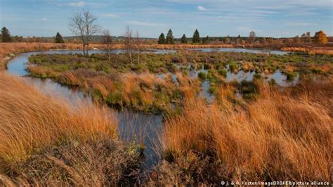 Parlamento Europeu Aprova Lei Da Restaura O Da Natureza Planeta