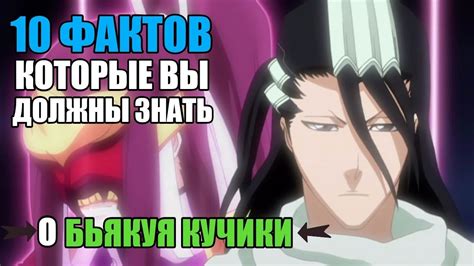 10 ФАКТОВ О КУЧИКИ БЬЯКУЯ О КОТОРЫХ ,ВОЗМОЖНО, ВЫ НЕ ЗНАЛИ | БЬЯКУЯ ...