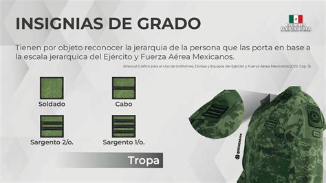 SEDENA Esto Significan Las Insignias De Los Uniformes Militares