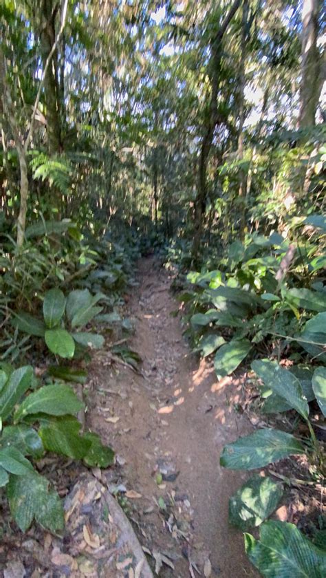 Trilha Pico Da Pedra Em Cambori Sc O Que Ningu M Te Conta