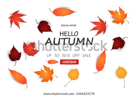 Hello Autum Leaves Banner Images Stock Photos D Objects