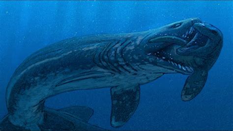 Proteothrinax The Giant Extinct Frilled Shark YouTube