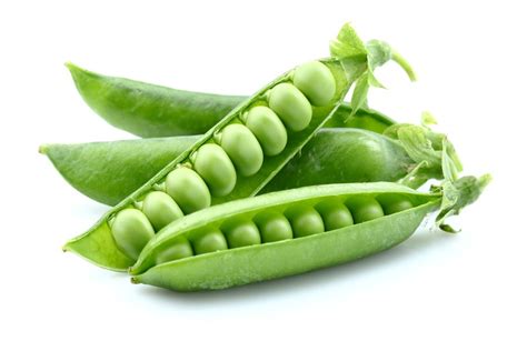 Peas Traductor De Inglés A Español Inglé