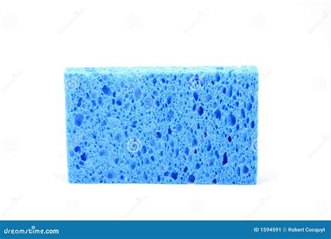 Blue Sponge stock image. Image of rough, clean, sponge - 1594591