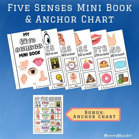 My 5 Senses Mini Book Bonus Anchor Chart Learning About Etsy Australia