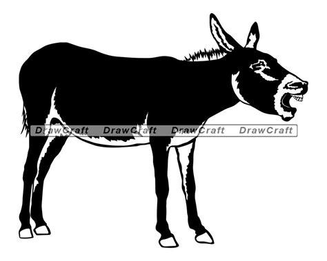 Braying Donkey Svg Donkey Svg Farm Animals Svg Donkey Cut Etsy