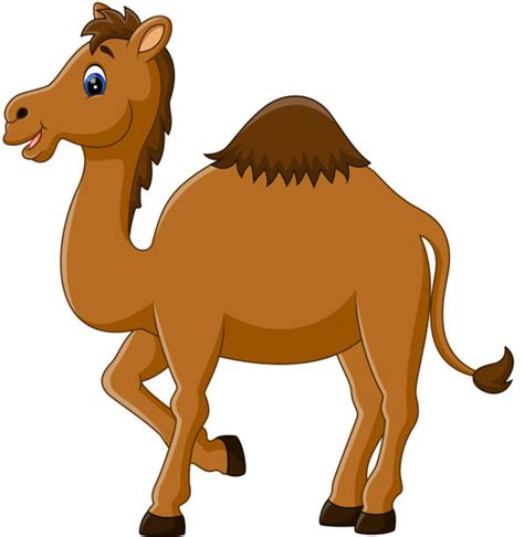 220 Funny Camels Clip Art Illustrations Royalty Free Vector Graphics And Clip Art Istock