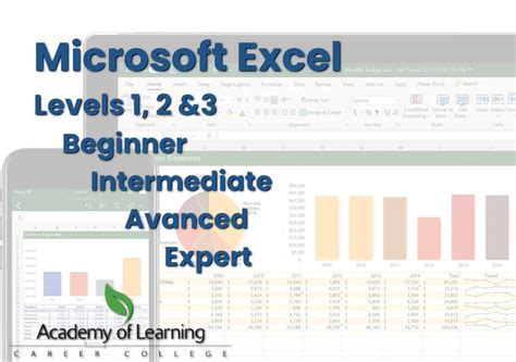 Microsoft Excel Certificate Beginner To Advanced Aolc Bc