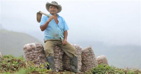 Así les compran directamente la cosecha a los campesinos