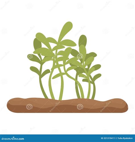 Soil Food Web And Nutrient Cycling As Plant Biological Cycle Outline