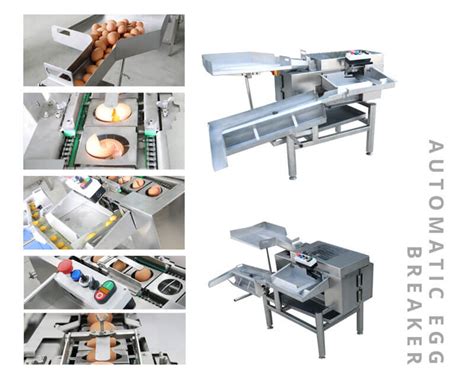 Small Automatic Egg Breaker Machine | Egg Processing Machines Supplier