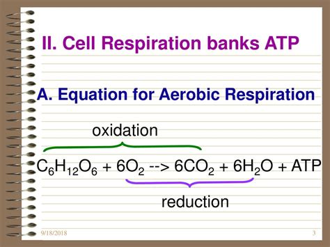 Cellular Respiration Equation Balanced