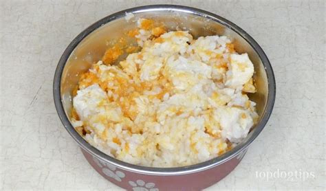 RECIPE: Chicken and Rice Dog Food for Upset Stomach