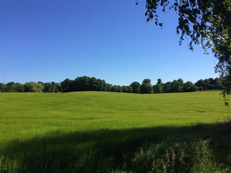 Images Gratuites Paysage Arbre La Nature Herbe Structure Ciel