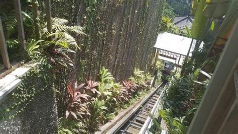 Tkp Lift Jatuh Di Ayu Terrace Resort Ubud Yang Tewaskan Orang Miliki