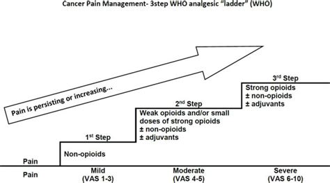 Cancer Pain | IntechOpen