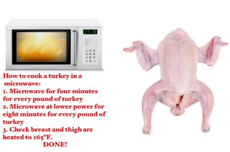 Experts Say Cooking Turkey In Microwave Is Totally Safe