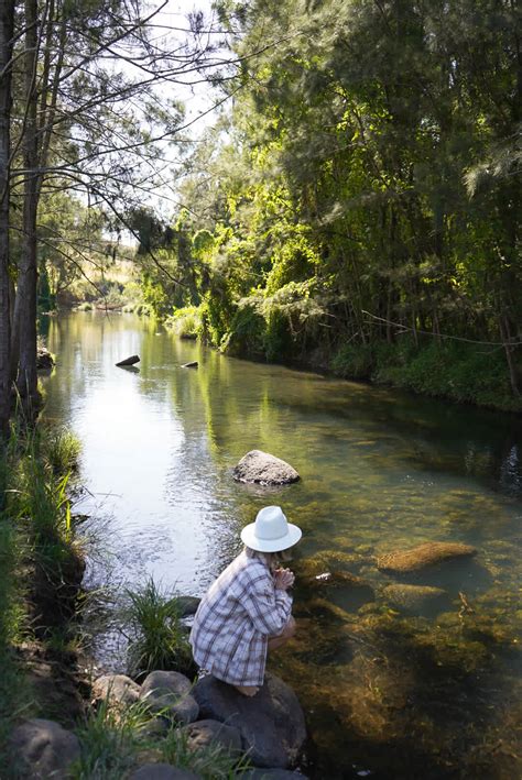 Christmas Creek Bush Retreat Hipcamp In Lamington Queensland