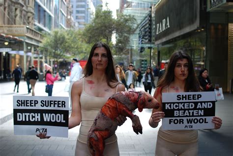 Peta Stages Disturbing Protest In City Centre