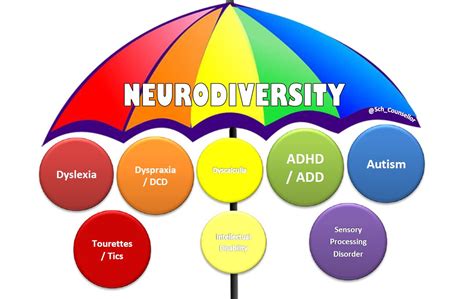 The Neuroscope General Terminology