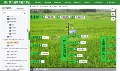 广西力拓农业利用智慧农业技术全程把控水稻种植 慧云信息技术有限公司 新浪博客