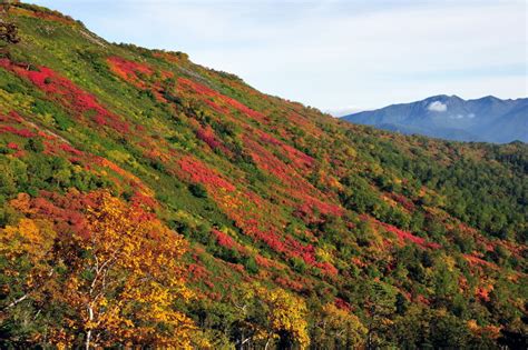 大雪山 赤岳 北国の情景