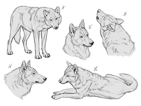 Ych Wolves 8 Sold By Makangeni On Deviantart Canine Art Animal